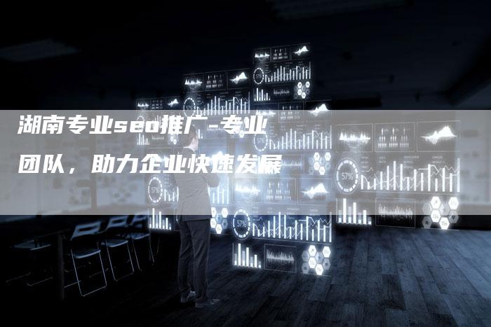 湖南专业seo推广-专业团队，助力企业快速发展