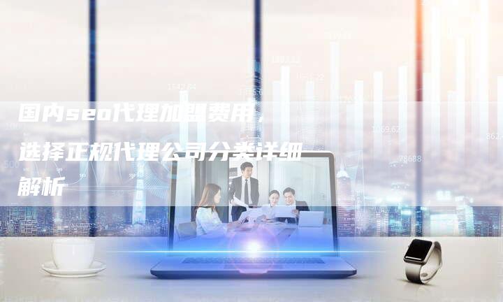 国内seo代理加盟费用，选择正规代理公司分类详细解析-网站排名优化网