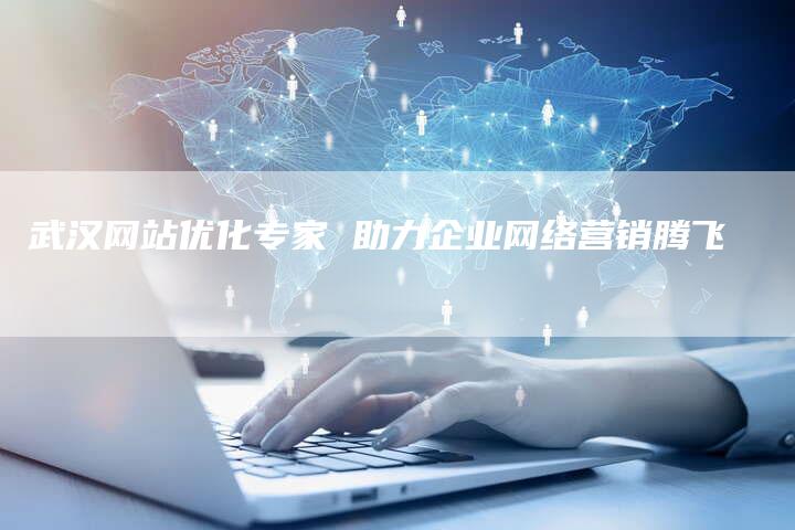 武汉网站优化专家 助力企业网络营销腾飞-网站排名优化网