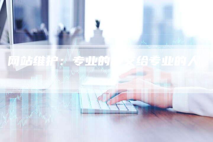 网站维护：专业的事交给专业的人-网站排名优化网