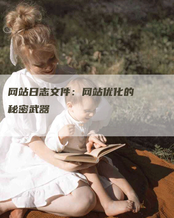 网站日志文件：网站优化的秘密武器-网站排名优化网