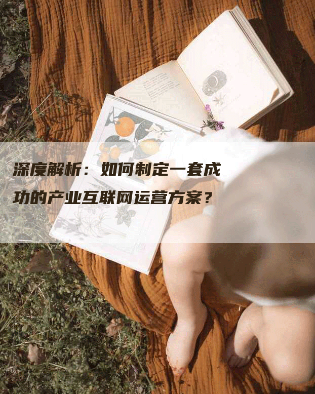 深度解析:如何制定一套成功的产业互联网运营方案?-网站排名优化网
