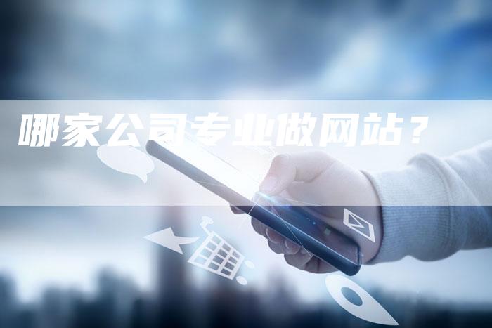 哪家公司专业做网站？