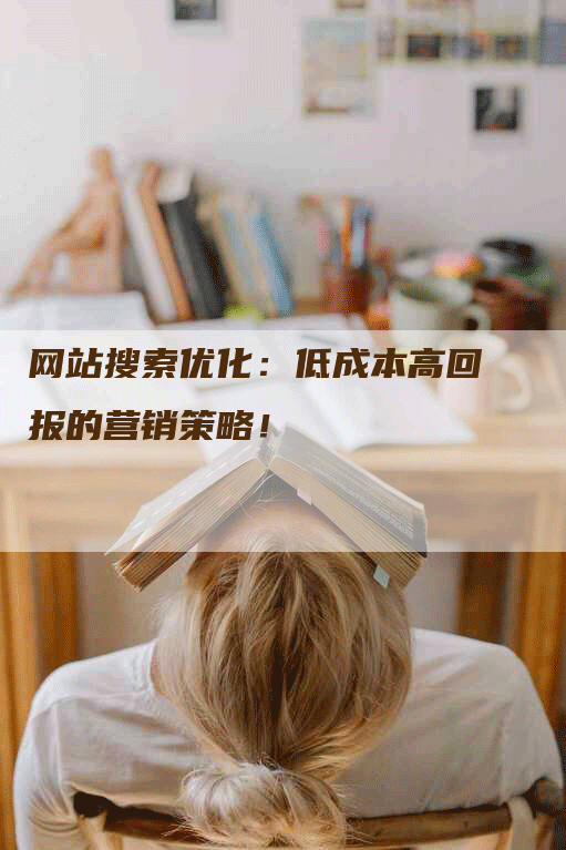 网站搜索优化：低成本高回报的营销策略！-网站排名优化网