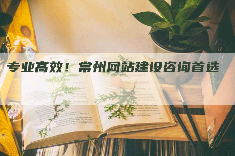 专业高效！常州网站建设咨询首选-网站排名优化网