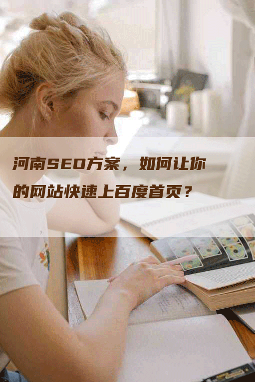 河南SEO方案，如何让你的网站快速上百度首页？
